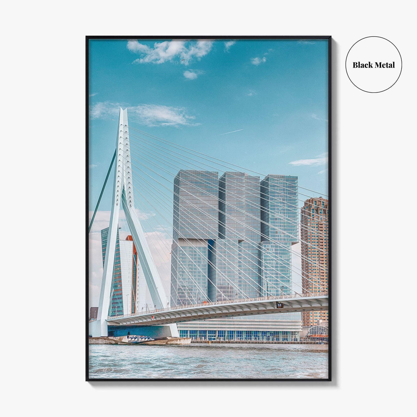Rotterdam Fine Art Photo Print, Netherlands Wall Decor Poster, Erasmusbrug Swan Bridge, Harbor