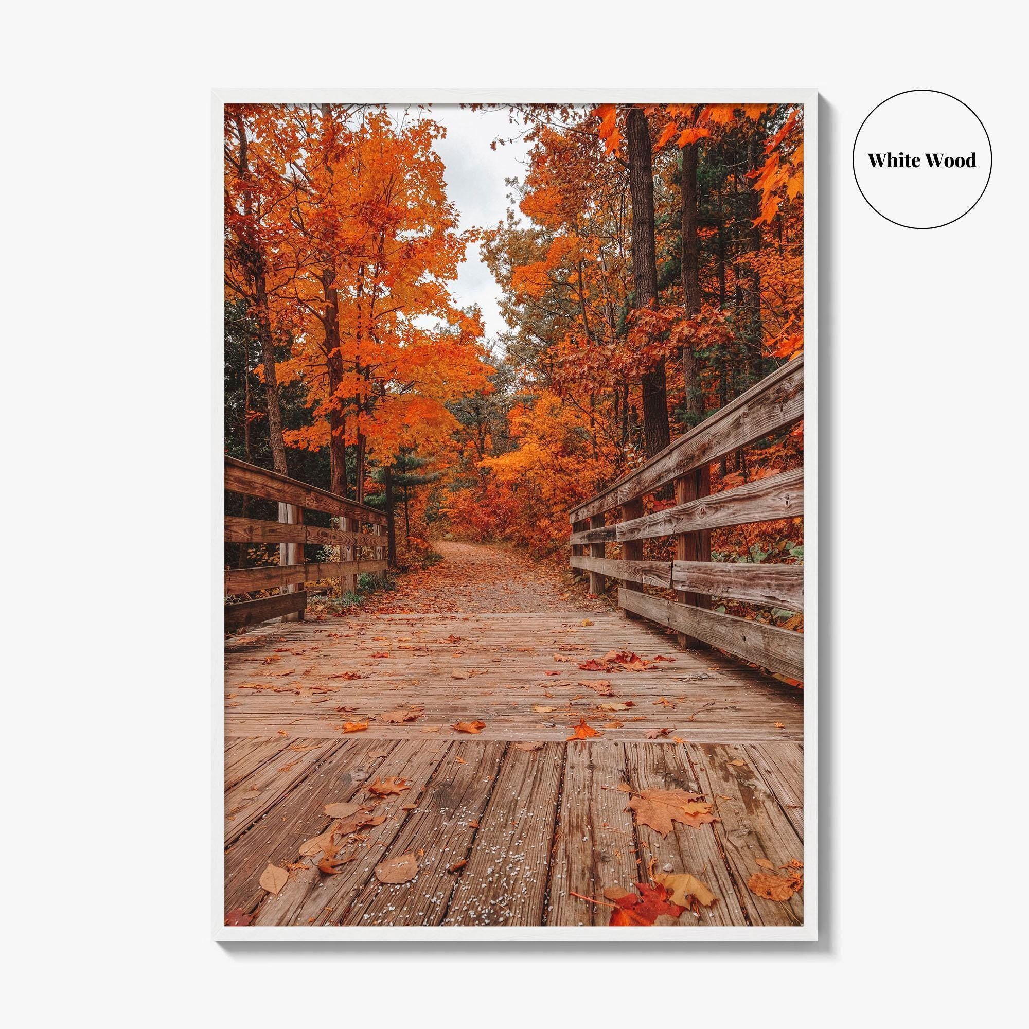 Traverse City Fine Art Photo Print, Logan's Landing, Michigan USA Wall Decor Poster