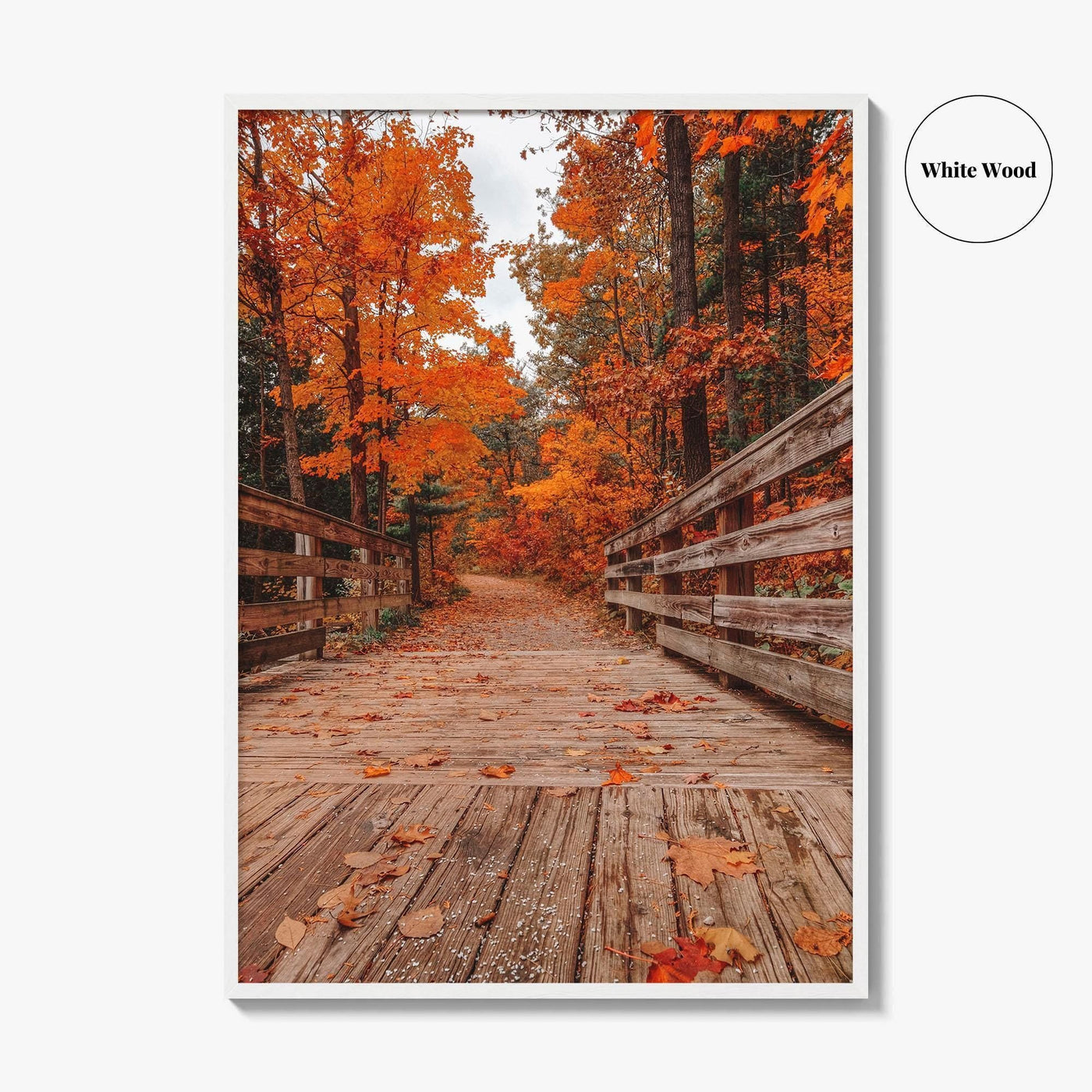 Traverse City Fine Art Photo Print, Logan's Landing, Michigan USA Wall Decor Poster