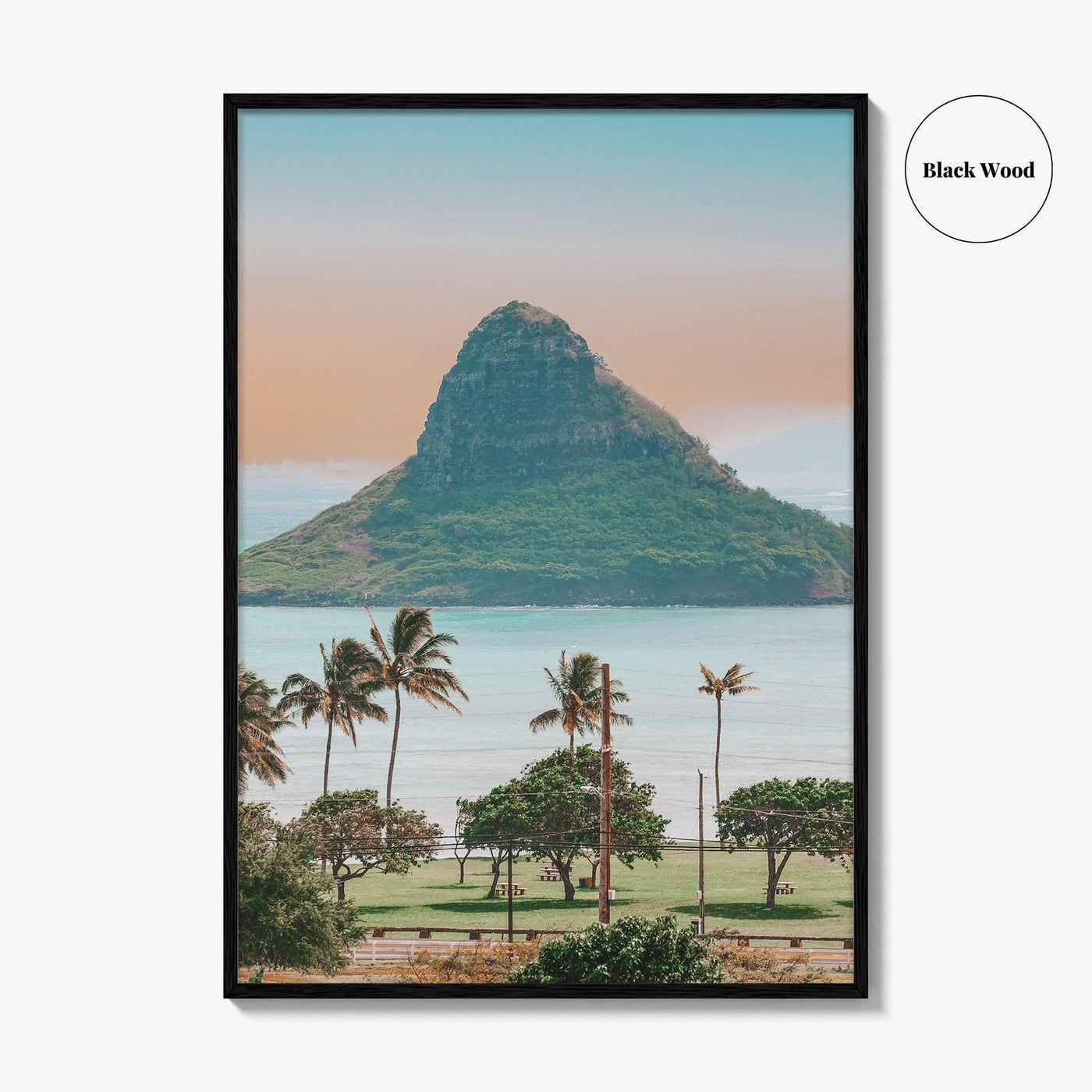 Hanauma Bay Oahu Fine Art Photo Print, Honolulu Hawaii, Palm Trees Beach Wall Decor