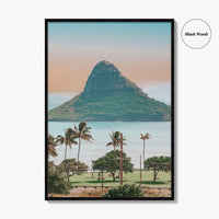 Hanauma Bay Oahu Fine Art Photo Print, Honolulu Hawaii, Palm Trees Beach Wall Decor