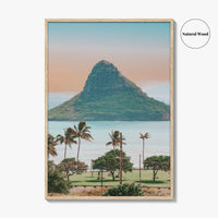 Hanauma Bay Oahu Fine Art Photo Print, Honolulu Hawaii, Palm Trees Beach Wall Decor