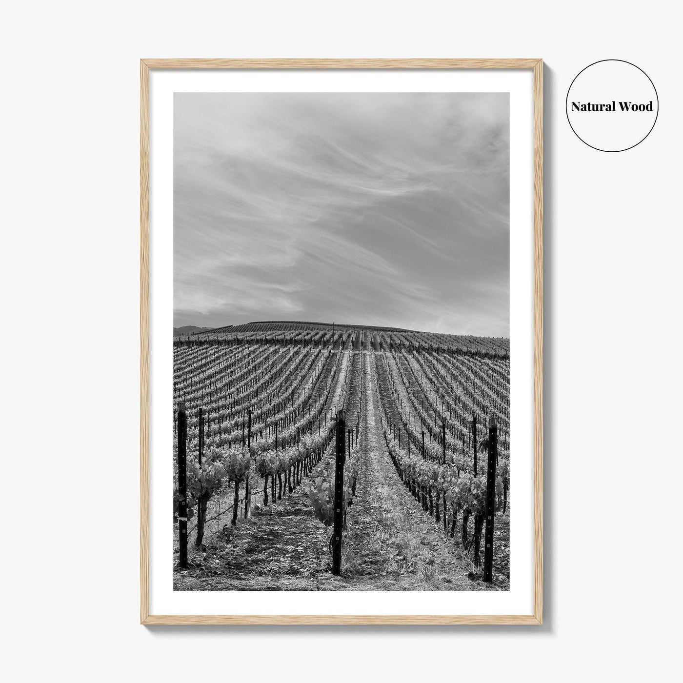 Sonoma Black and White Fine Art Photo Print, Wine Country Vineyards, California Poster