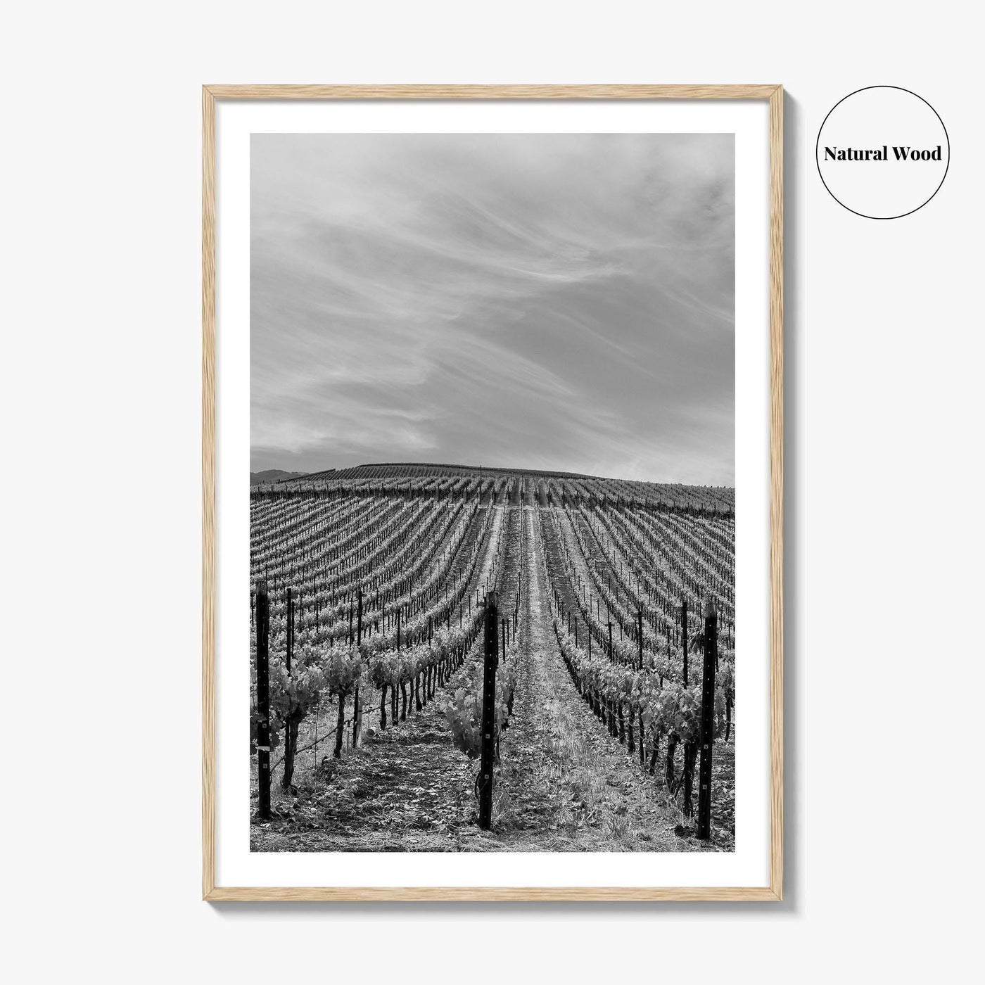 Sonoma Black and White Fine Art Photo Print, Wine Country Vineyards, California Poster