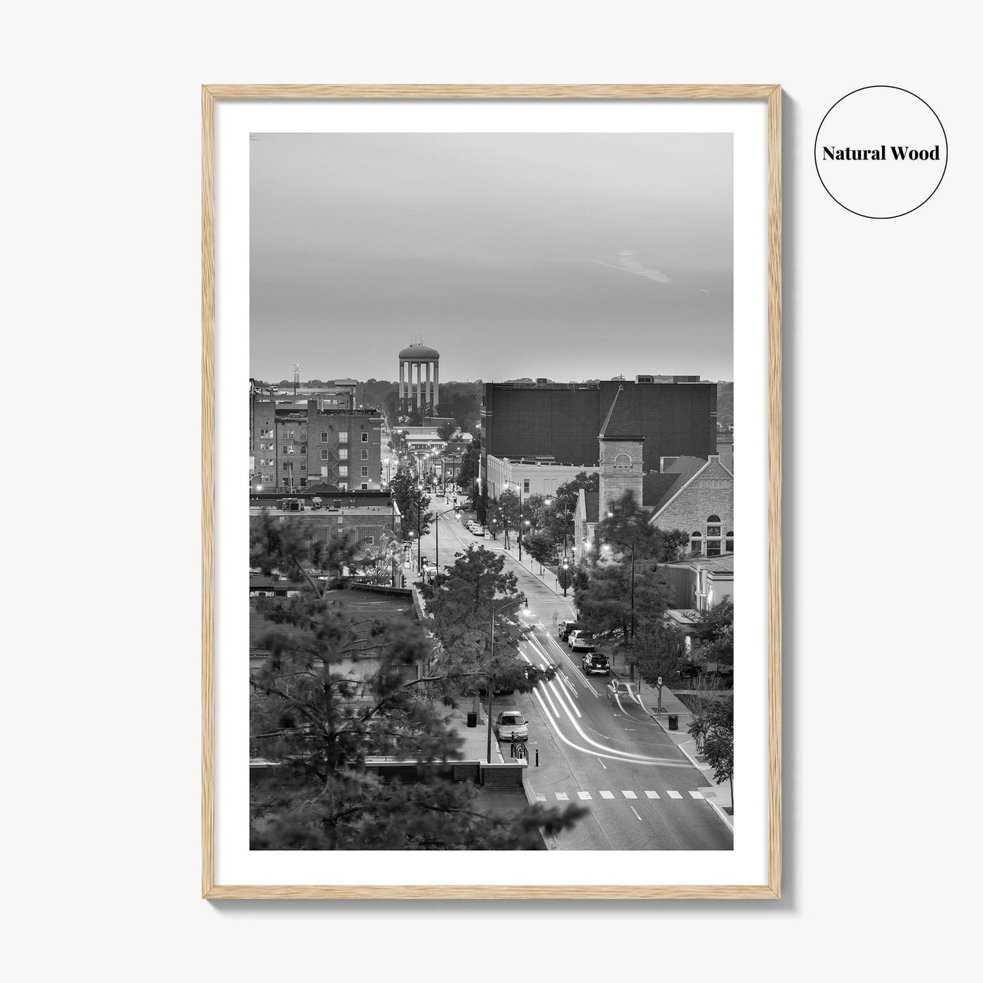 Columbia Missouri Skyline Black and White Fine Art Photo Print, Downtown, USA Poster