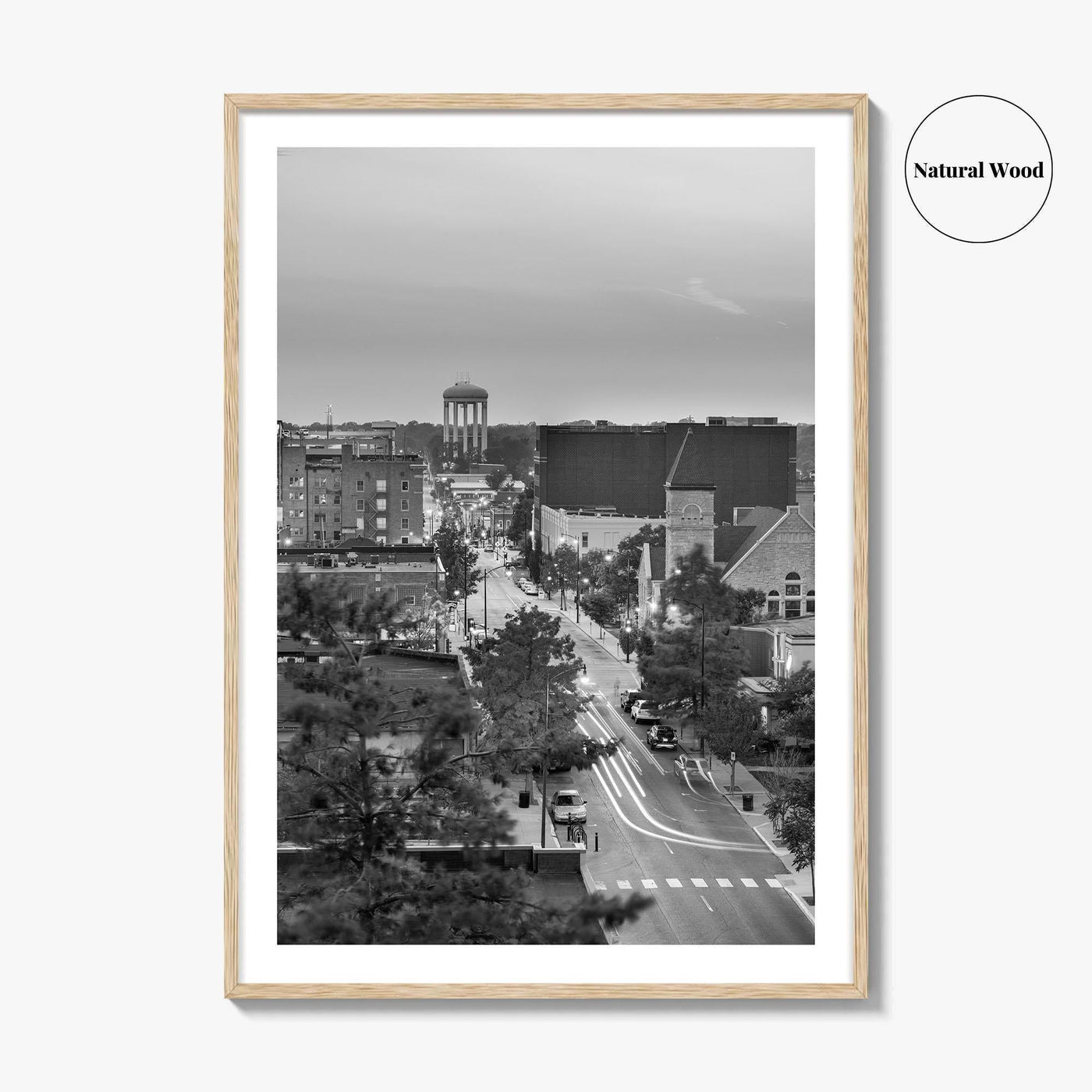 Columbia Missouri Skyline Black and White Fine Art Photo Print, Downtown, USA Poster
