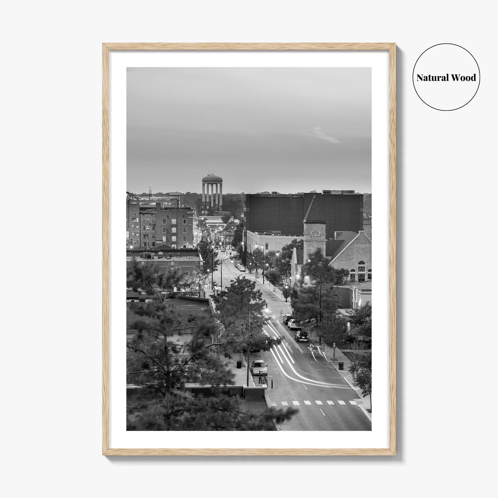 Columbia Missouri Skyline Black and White Fine Art Photo Print, Downtown, USA Poster