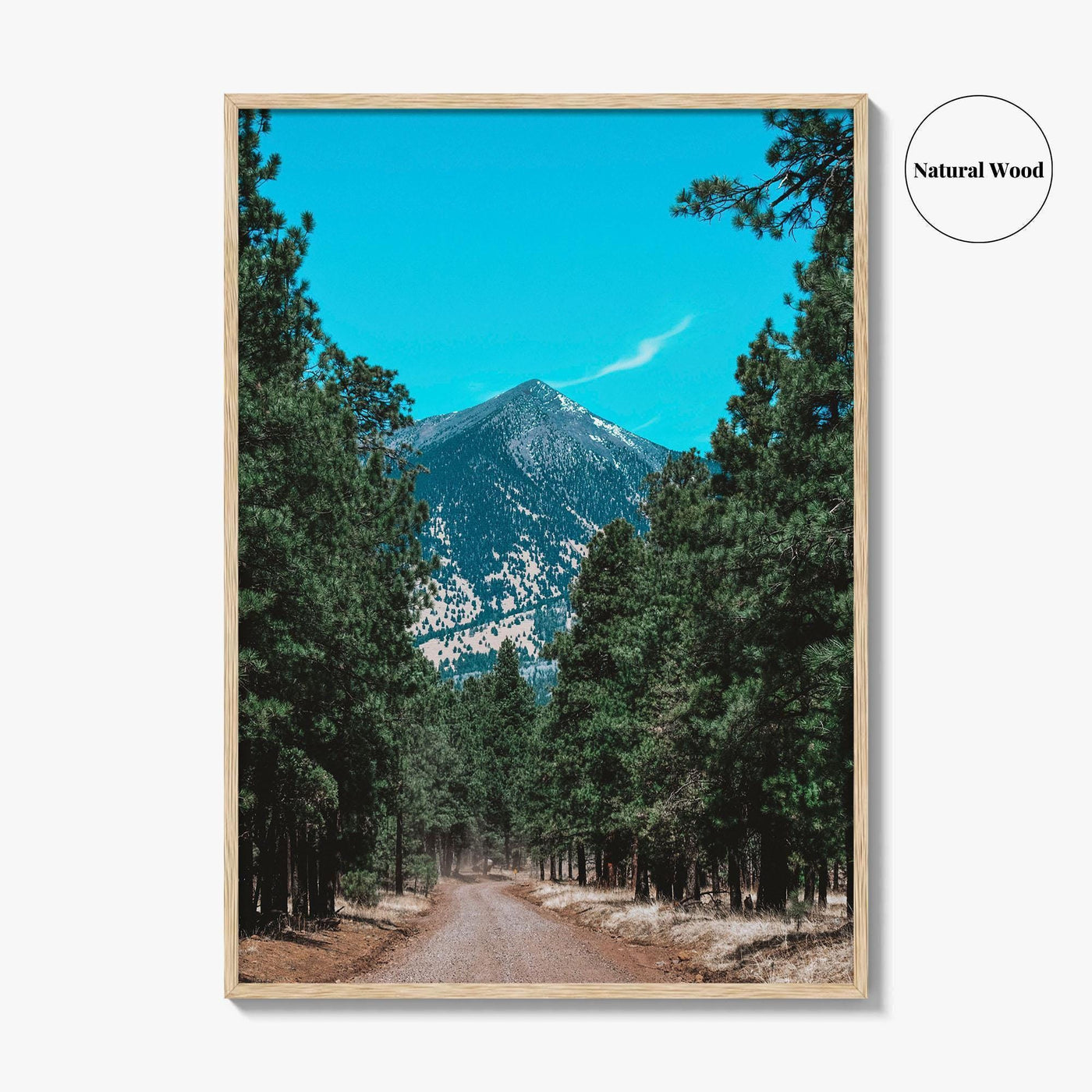 Flagstaff Fine Art Photo Print, Arizona, San Francisco Peaks, Mountain Landscape Wall Decor Poster