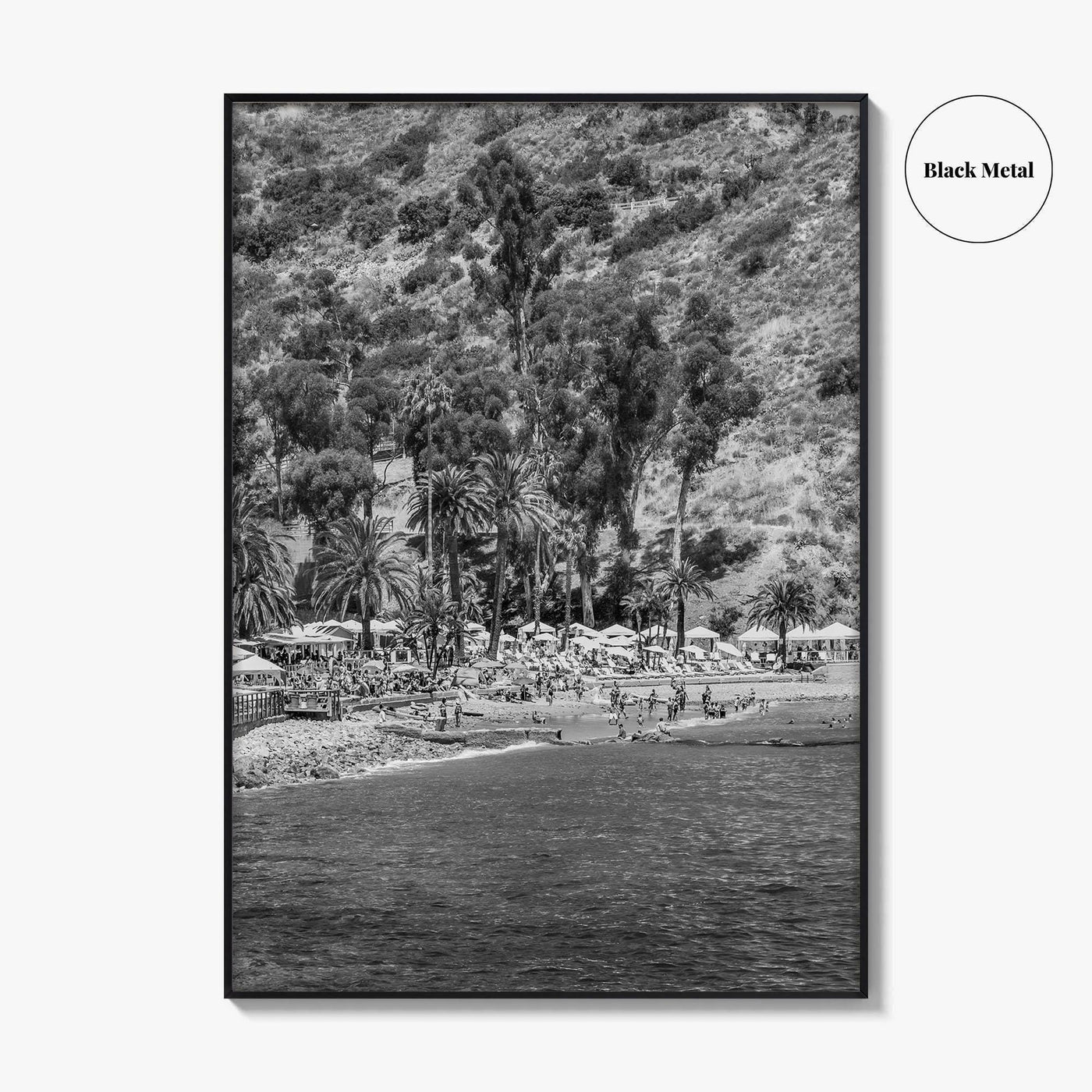 Santa Catalina Island Black and White Fine Art Photo Print, Avalon Bay California Poster