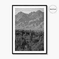 Saguaro National Park Black and White Fine Art Photo Print, Tucson Arizona USA Poster
