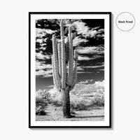 Arizona Black and White Fine Art Photo Print, Saguaro National Park, Tucson Cactus Poster