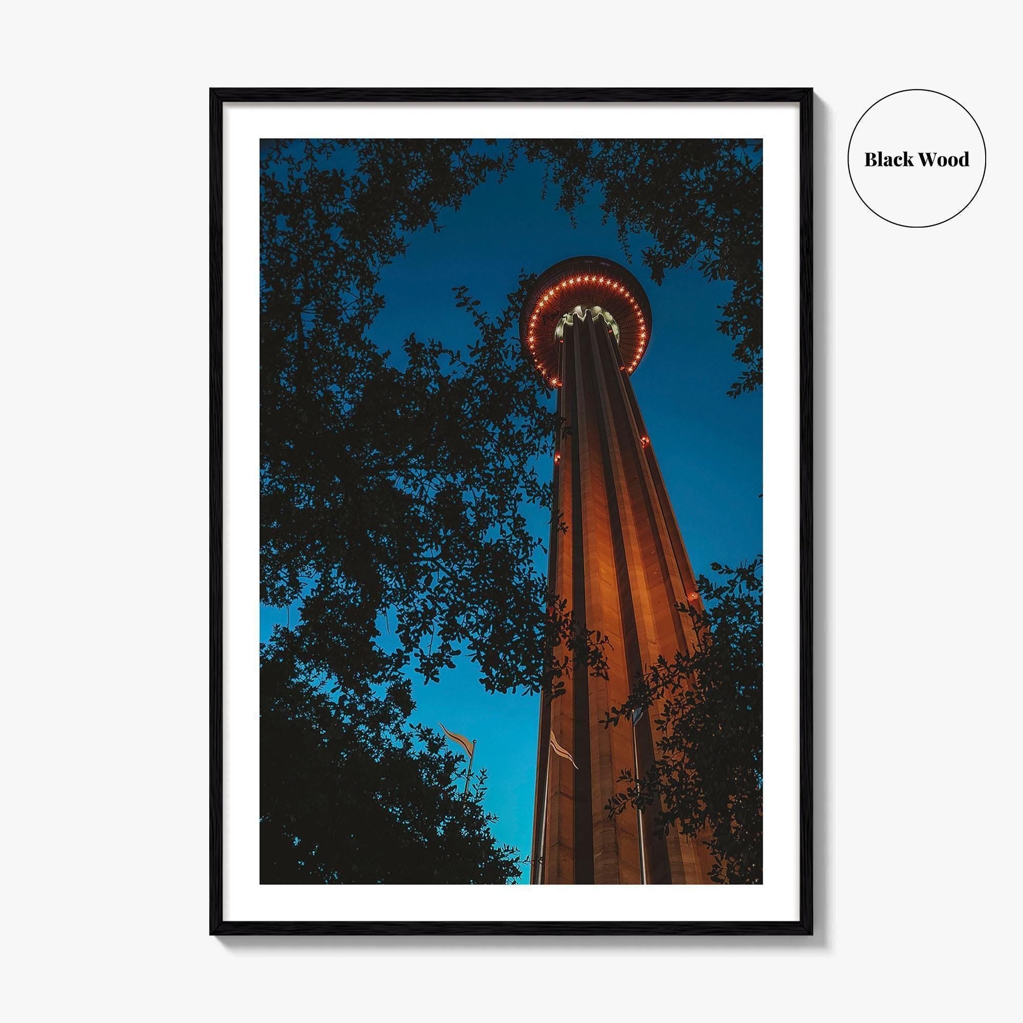 San Antonio Fine Art Photo Print, Tower of the Americas, Hemisfair Park, Texas Poster