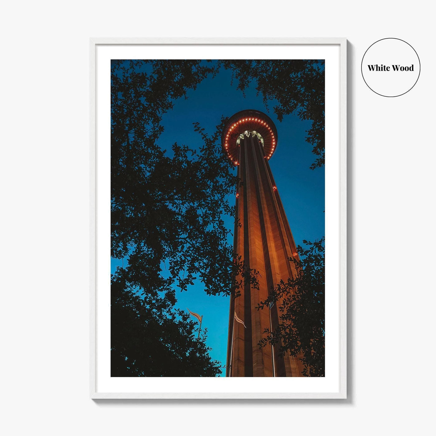 San Antonio Fine Art Photo Print, Tower of the Americas, Hemisfair Park, Texas Poster