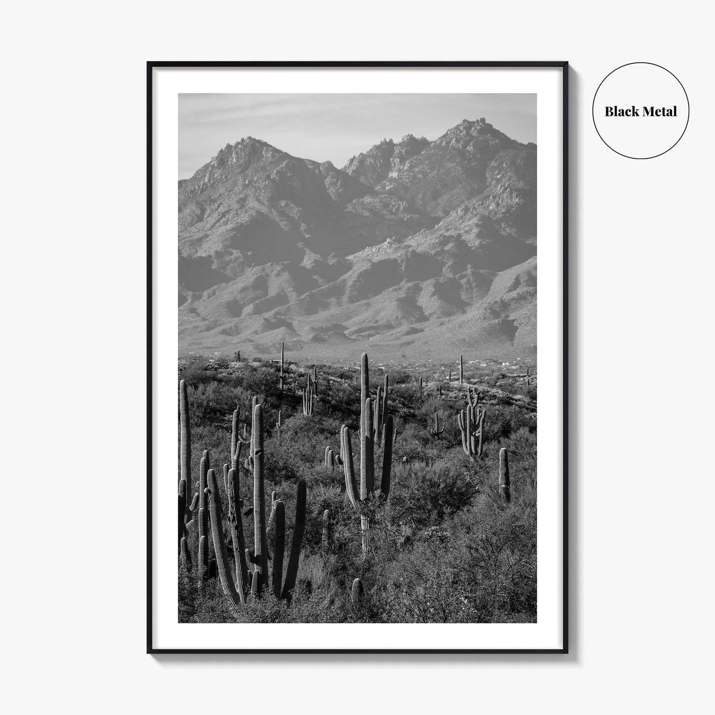 Saguaro National Park Black and White Fine Art Photo Print, Tucson Arizona USA Poster