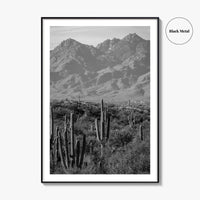 Saguaro National Park Black and White Fine Art Photo Print, Tucson Arizona USA Poster