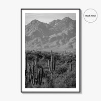 Saguaro National Park Black and White Fine Art Photo Print, Tucson Arizona USA Poster