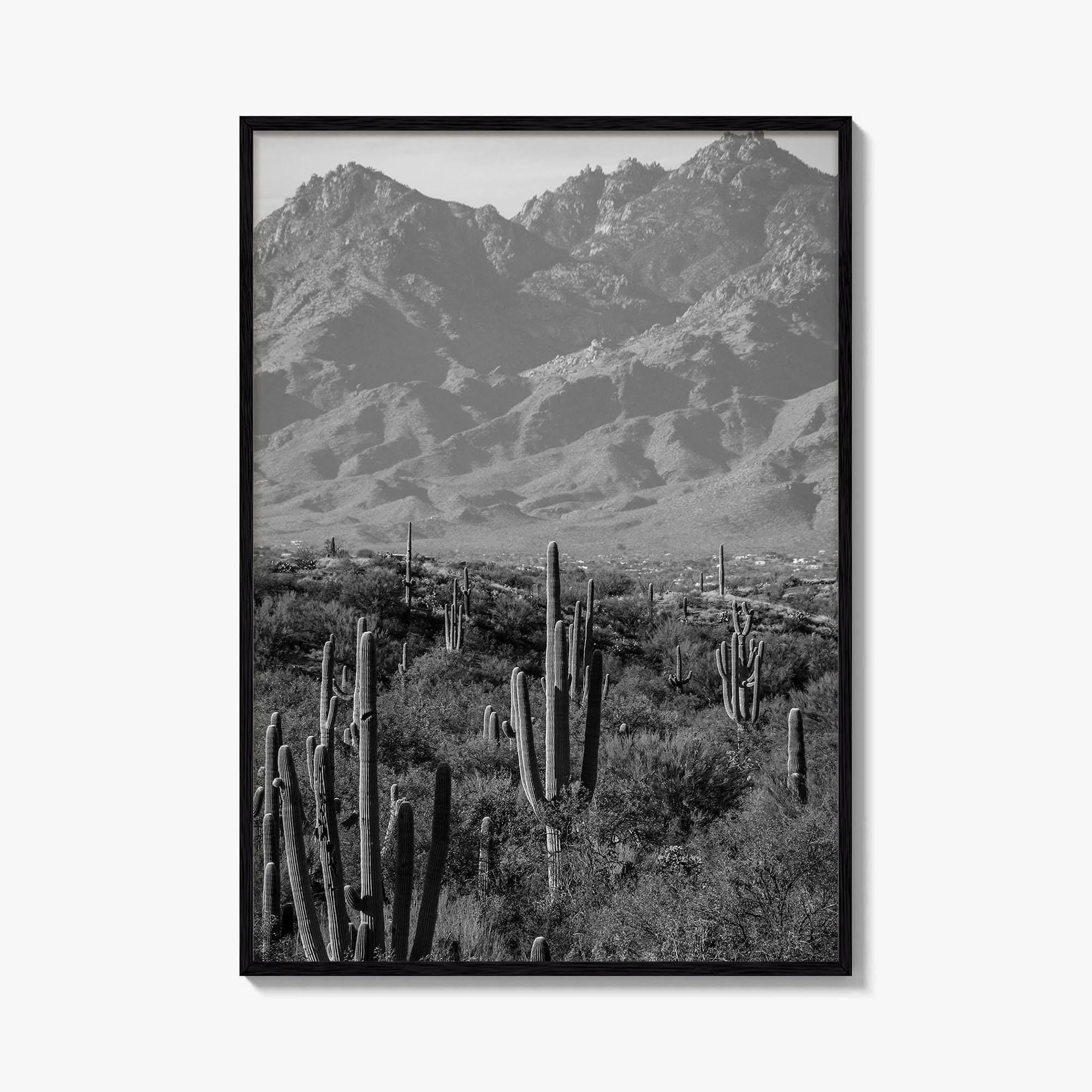 Saguaro National Park Black and White Fine Art Photo Print, Tucson Arizona USA Poster
