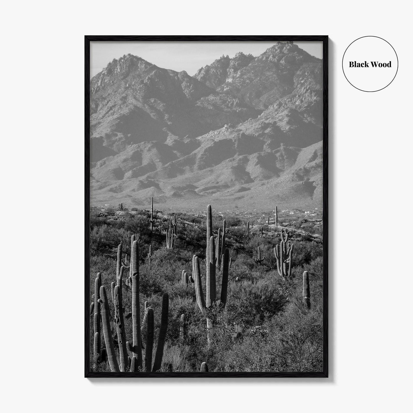 Saguaro National Park Black and White Fine Art Photo Print, Tucson Arizona USA Poster