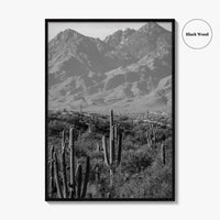Saguaro National Park Black and White Fine Art Photo Print, Tucson Arizona USA Poster