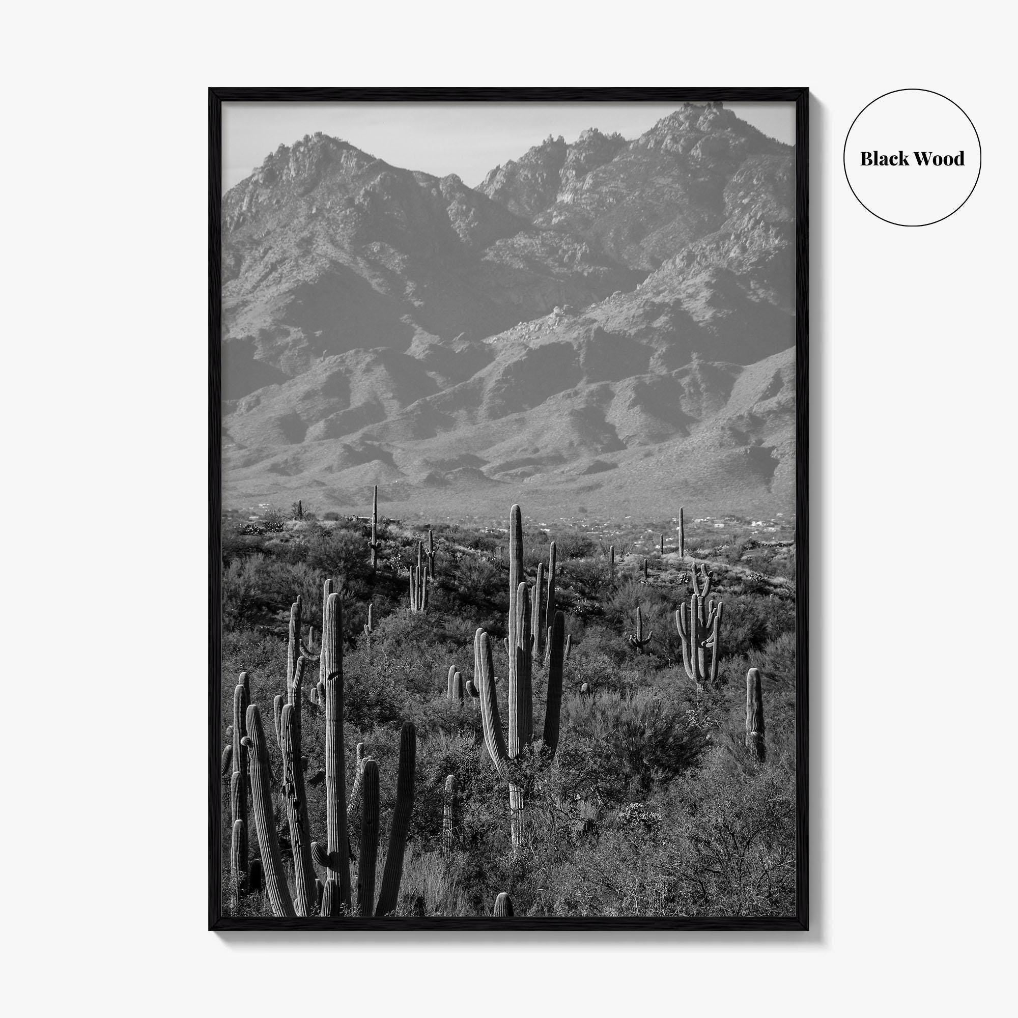 Saguaro National Park Black and White Fine Art Photo Print, Tucson Arizona USA Poster