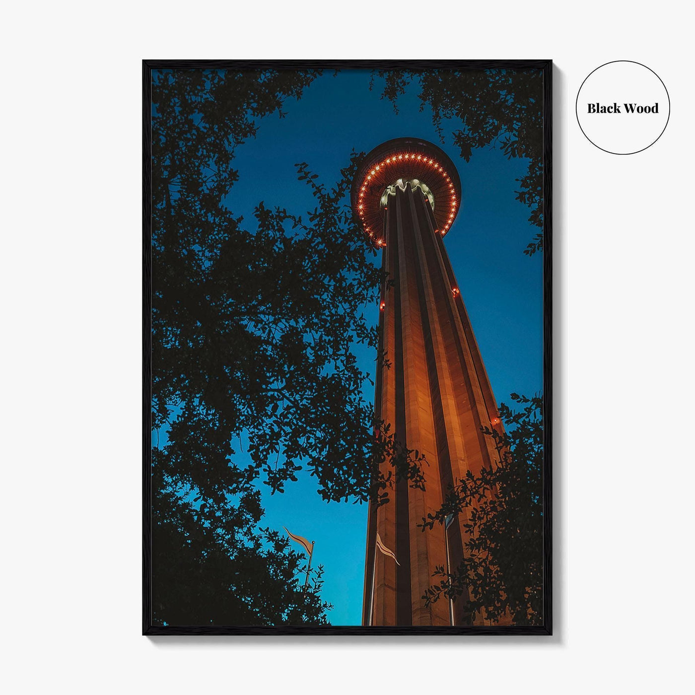 San Antonio Fine Art Photo Print, Tower of the Americas, Hemisfair Park, Texas Poster