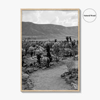 Joshua Tree Black and White Fine Art Photo Print, Cholla Cactus Garden California Poster