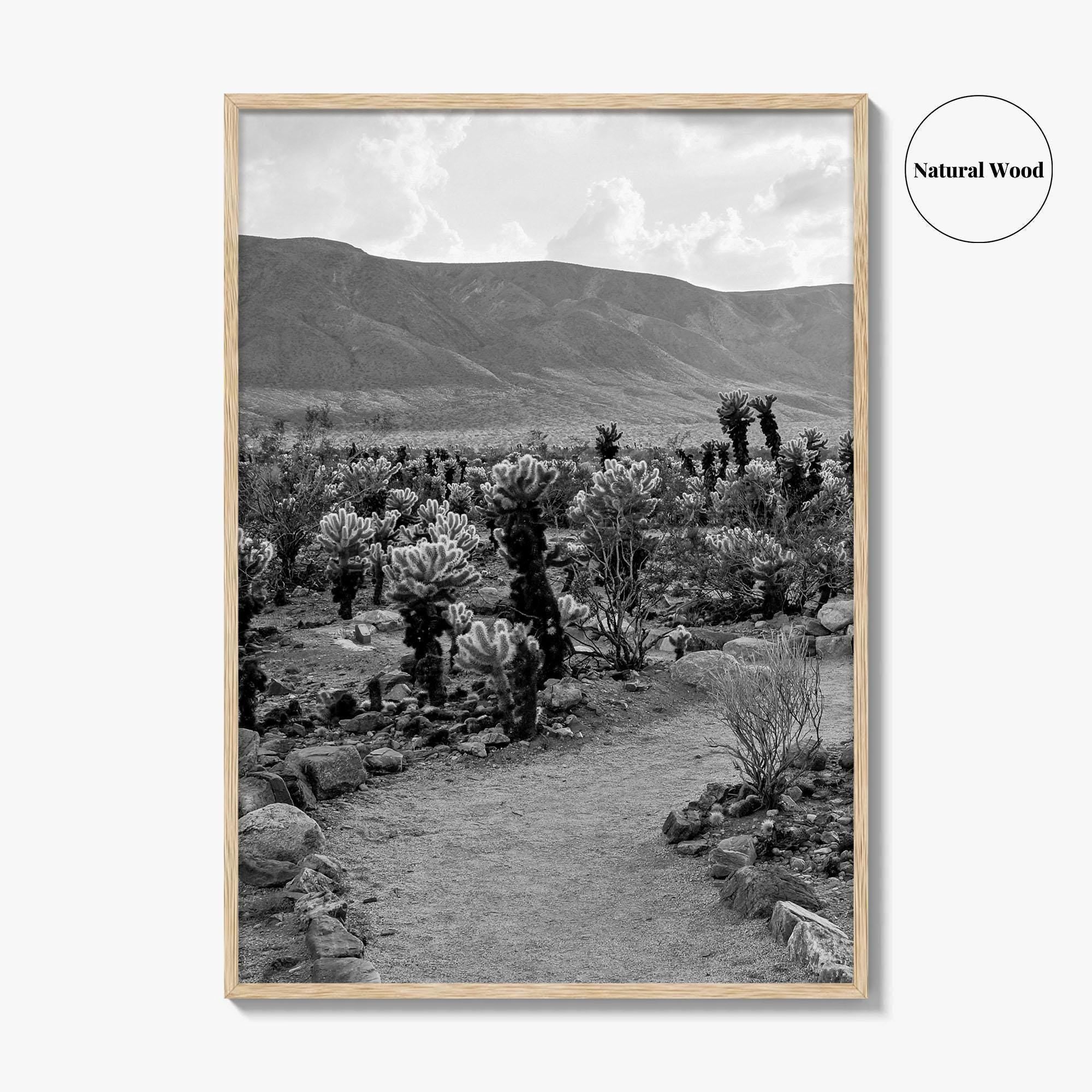 Joshua Tree Black and White Fine Art Photo Print, Cholla Cactus Garden California Poster