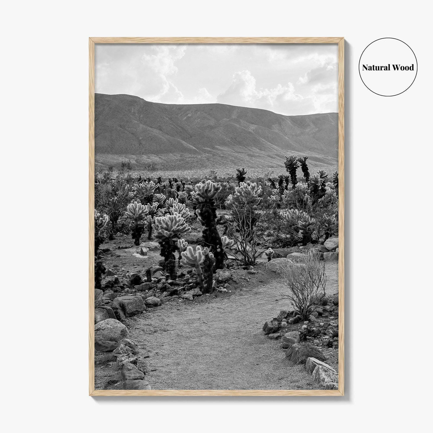 Joshua Tree Black and White Fine Art Photo Print, Cholla Cactus Garden California Poster