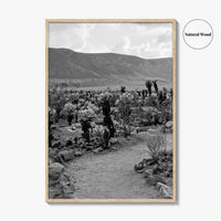 Joshua Tree Black and White Fine Art Photo Print, Cholla Cactus Garden California Poster