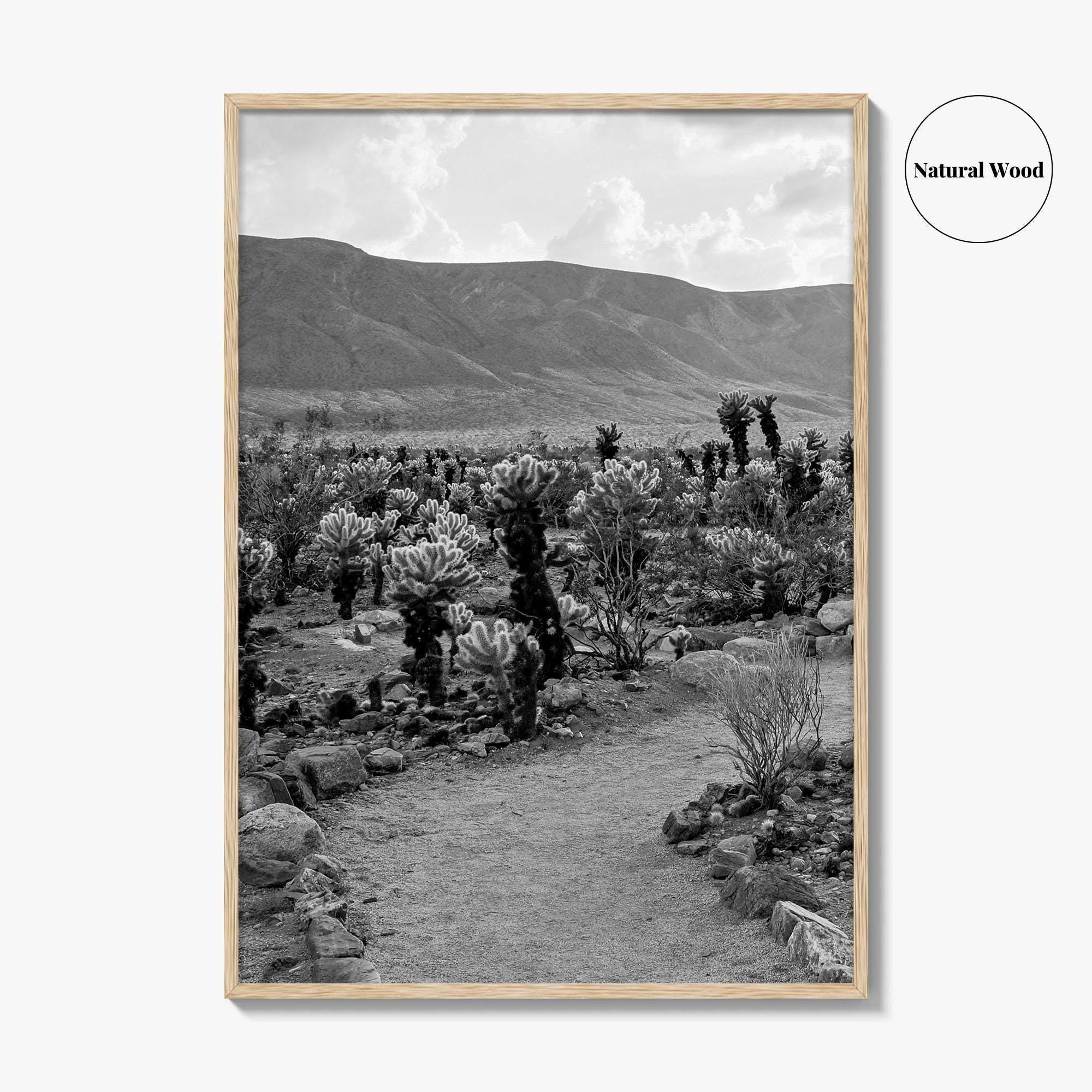 Joshua Tree Black and White Fine Art Photo Print, Cholla Cactus Garden California Poster