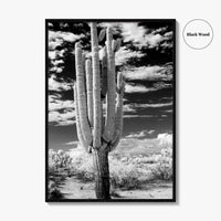 Arizona Black and White Fine Art Photo Print, Saguaro National Park, Tucson Cactus Poster