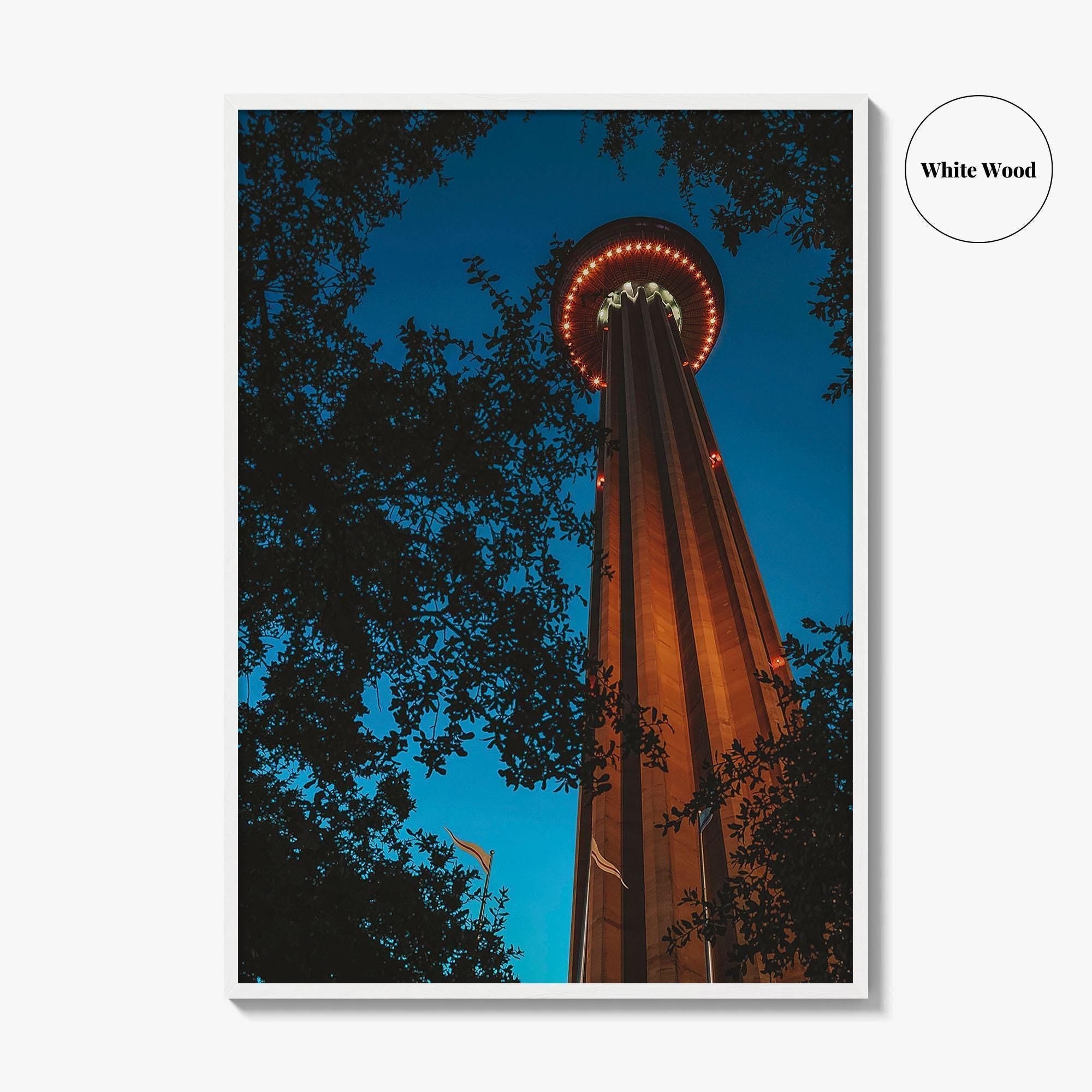 San Antonio Fine Art Photo Print, Tower of the Americas, Hemisfair Park, Texas Poster