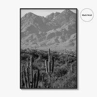 Saguaro National Park Black and White Fine Art Photo Print, Tucson Arizona USA Poster