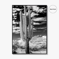 Arizona Black and White Fine Art Photo Print, Saguaro National Park, Tucson Cactus Poster