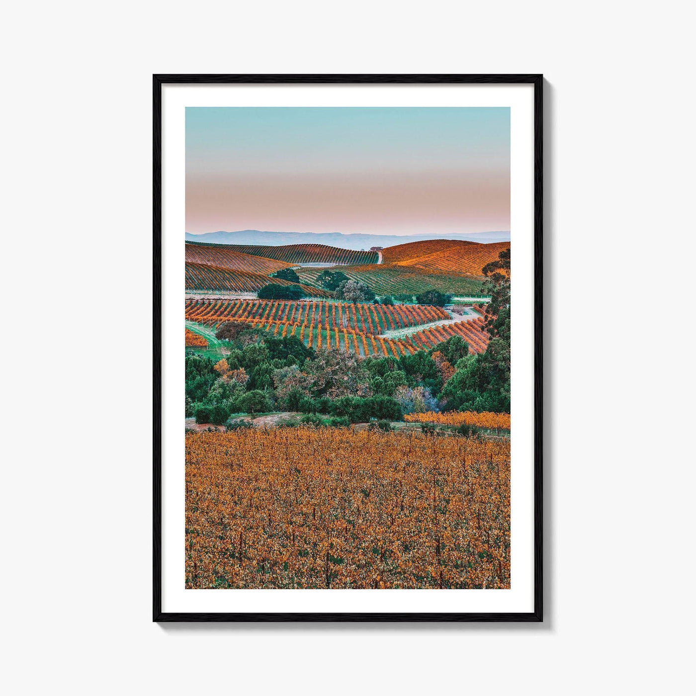 Napa Valley Fine Art Photo Print, Sonoma Valley, California Wine Country Poster