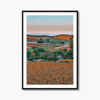 Napa Valley Fine Art Photo Print, Sonoma Valley, California Wine Country Poster