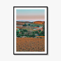 Napa Valley Fine Art Photo Print, Sonoma Valley, California Wine Country Poster