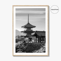 Kyoto Black and White Fine Art Photo Print, Kiyomizu-dera Sakura Cherry Blossom Japan Poster