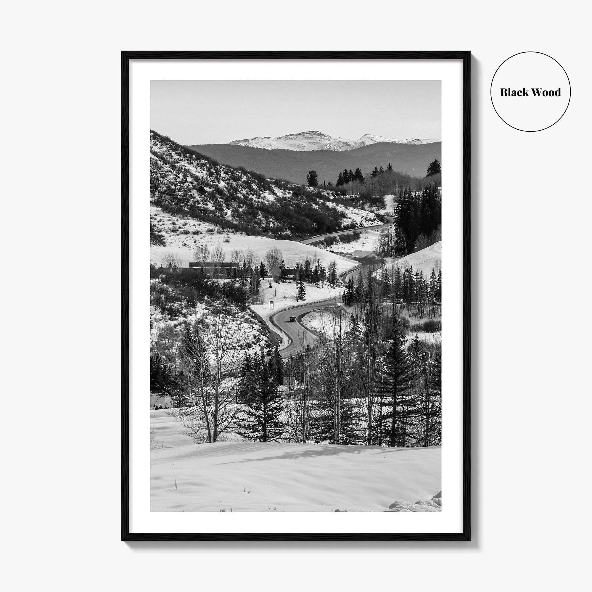 Aspen Black and White Fine Art Photo Print, Colorado Rocky Mountains Snow Poster
