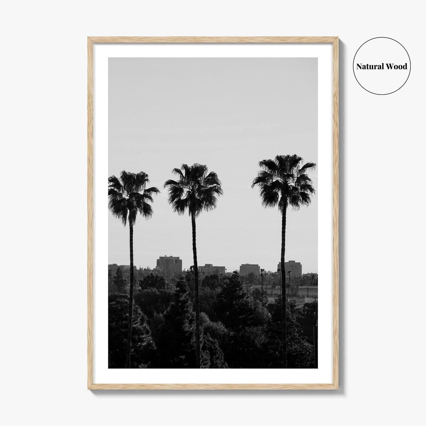 Anaheim Skyline Black and White Fine Art Photo Print, Orange County Poster, California Poster