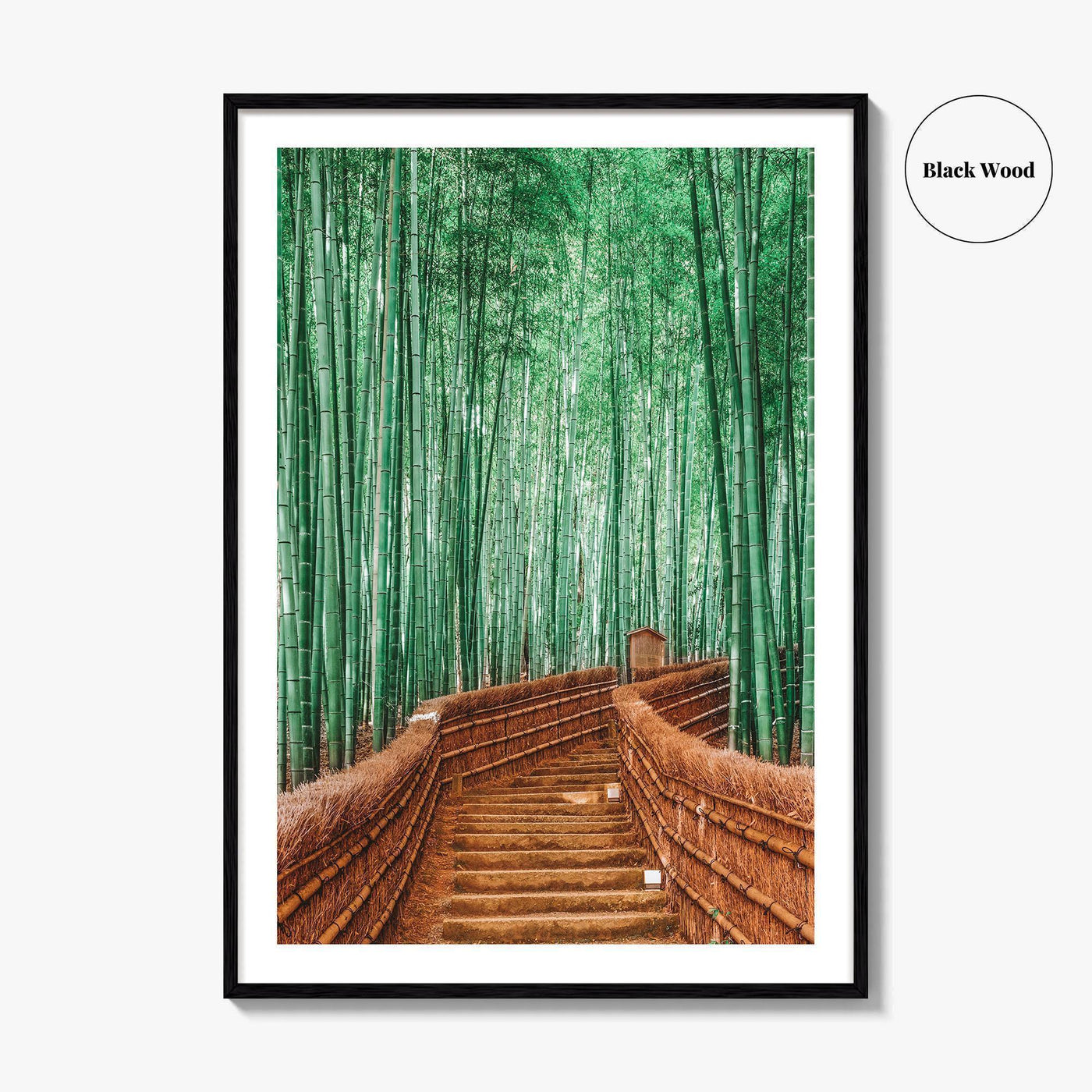 Kyoto, Japan Fine Art Photo Print, Arashiyama Bamboo Forest, Wall Decor Poster