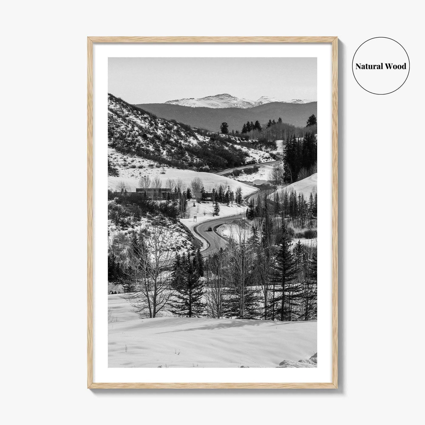 Aspen Black and White Fine Art Photo Print, Colorado Rocky Mountains Snow Poster
