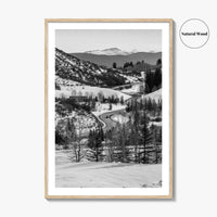 Aspen Black and White Fine Art Photo Print, Colorado Rocky Mountains Snow Poster