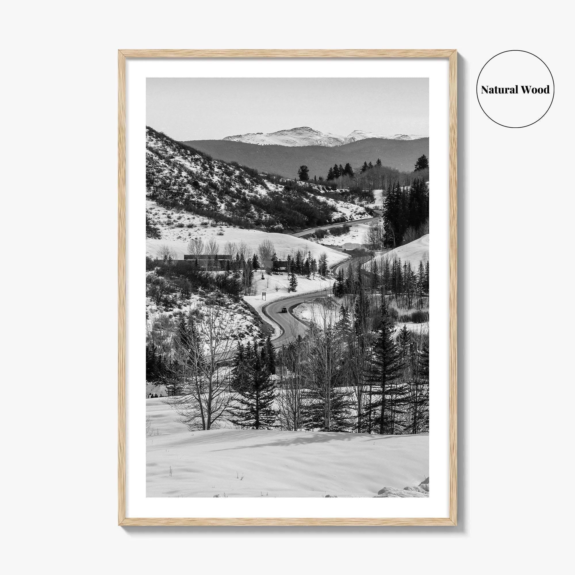 Aspen Black and White Fine Art Photo Print, Colorado Rocky Mountains Snow Poster