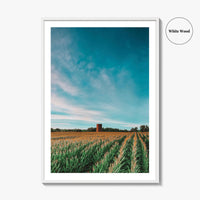 Iowa Fine Art Photo Print, Cornfield Silo Wall Decor Poster, Midwest USA