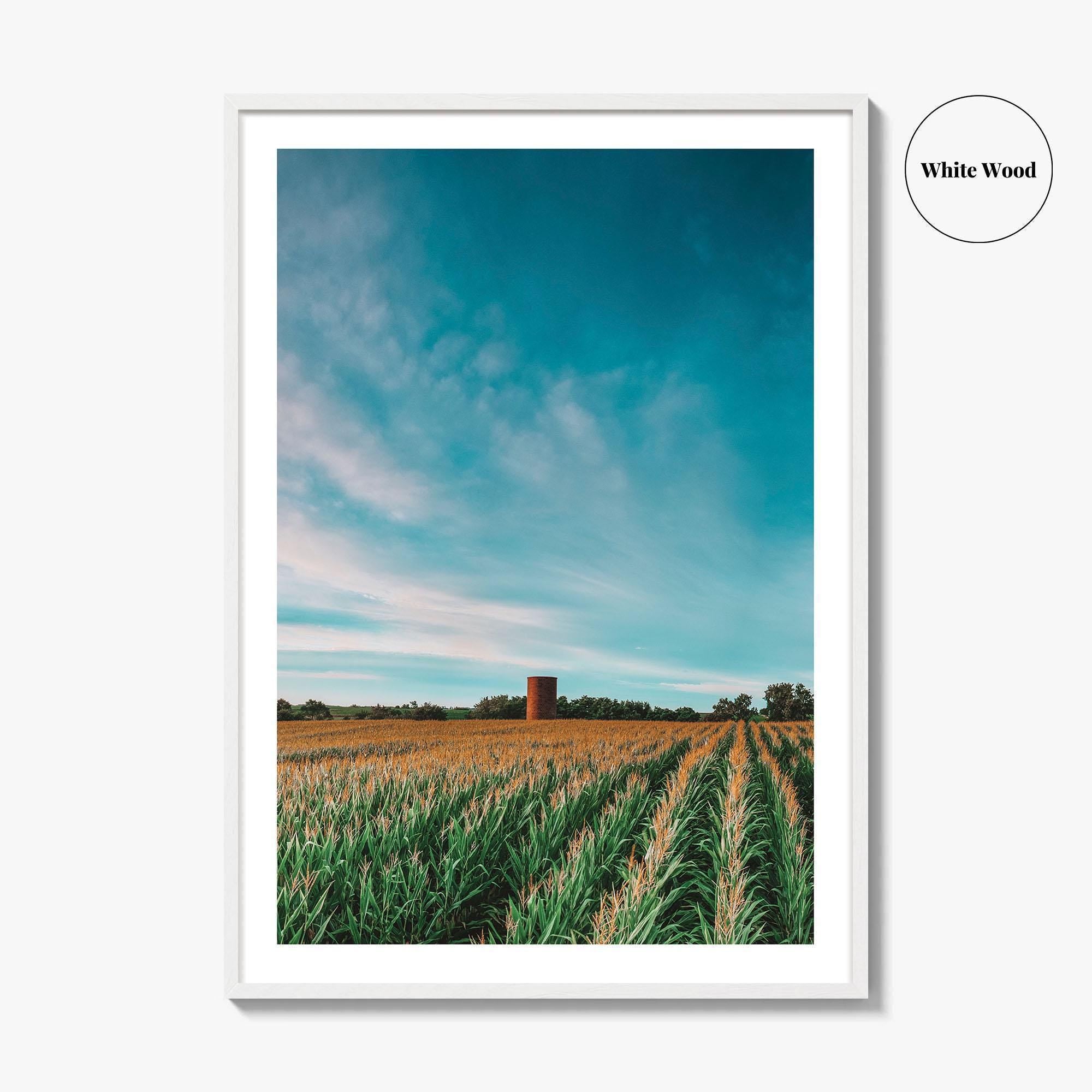 Iowa Fine Art Photo Print, Cornfield Silo Wall Decor Poster, Midwest USA