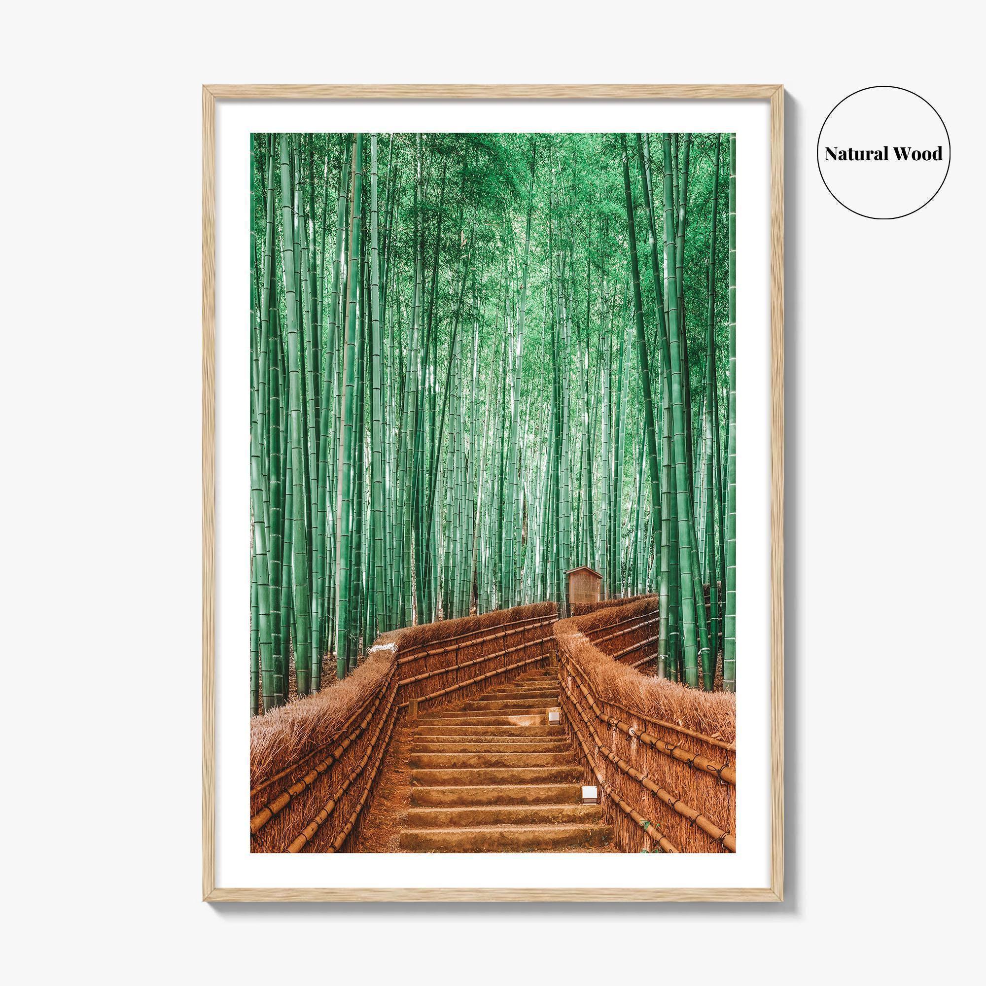 Kyoto, Japan Fine Art Photo Print, Arashiyama Bamboo Forest, Wall Decor Poster