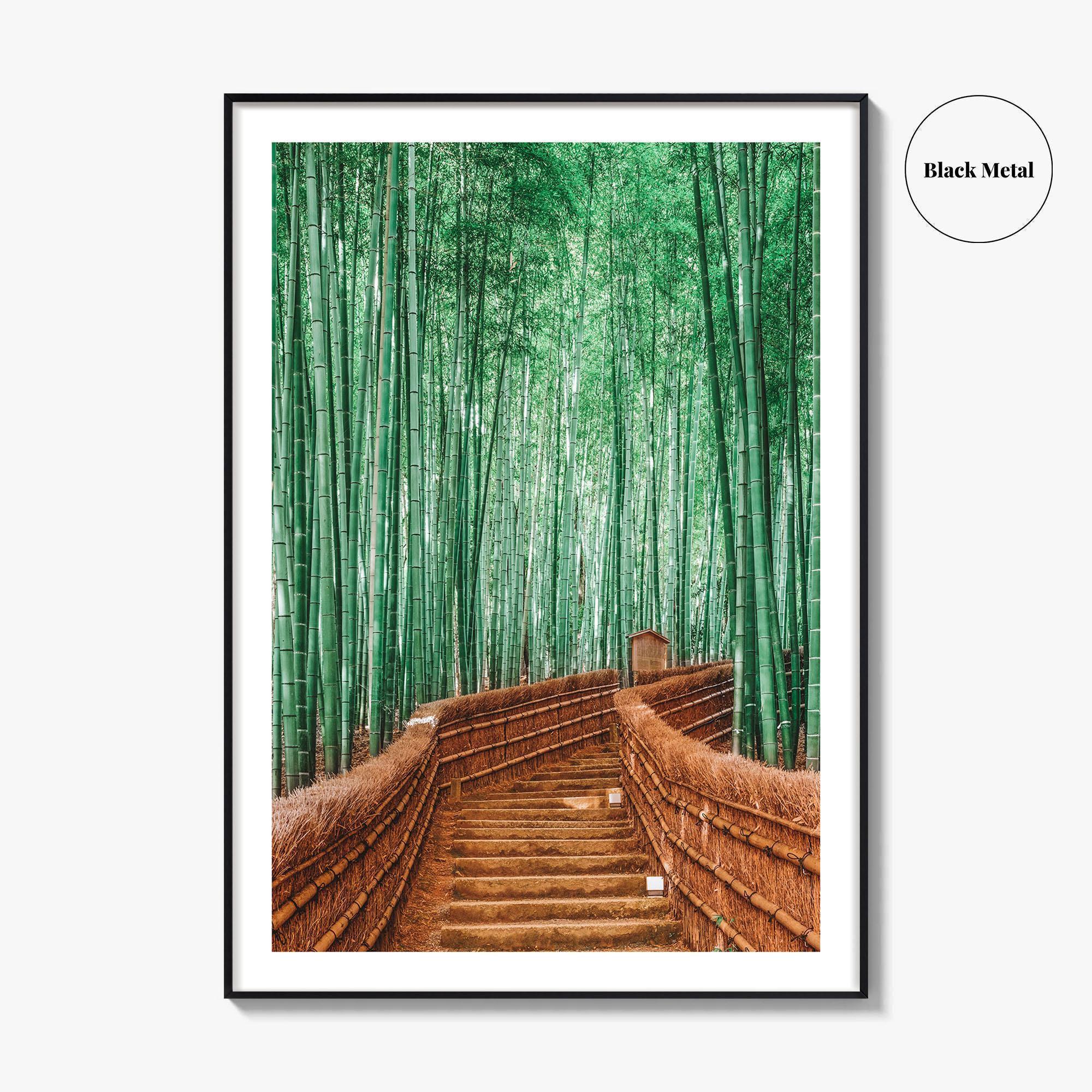 Kyoto, Japan Fine Art Photo Print, Arashiyama Bamboo Forest, Wall Decor Poster
