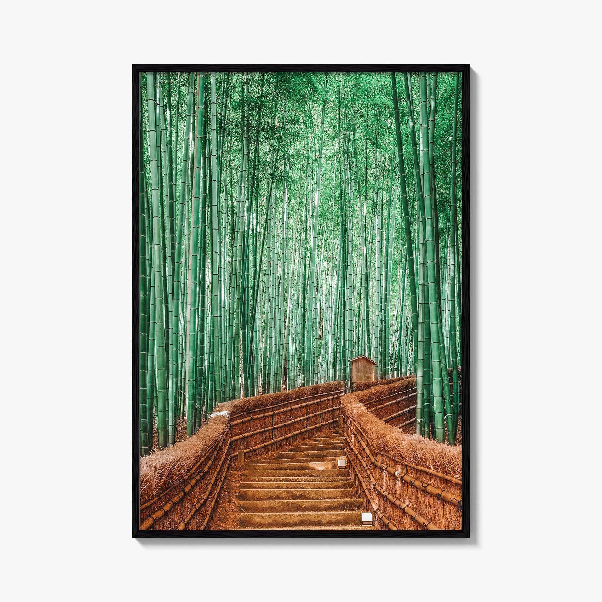 Kyoto, Japan Fine Art Photo Print, Arashiyama Bamboo Forest, Wall Decor Poster