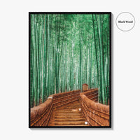 Kyoto, Japan Fine Art Photo Print, Arashiyama Bamboo Forest, Wall Decor Poster